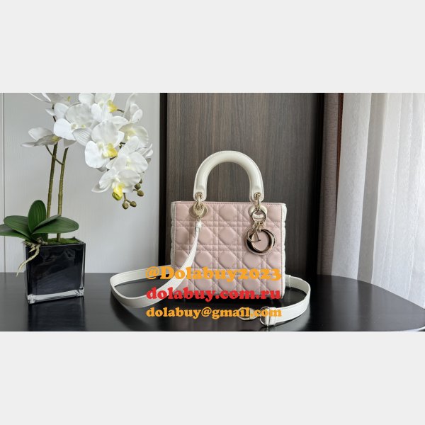 Perfect Quality Replica Christian Lady Dior 17/20cm Bags