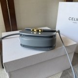 Top Celine Mini Besace LISA Style Handbag