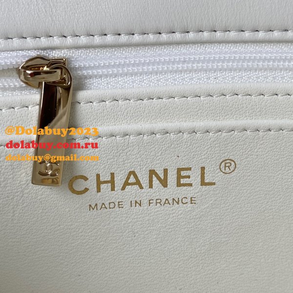 CC 21K Mini CF Handle AS2431 Handbag